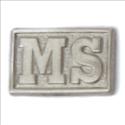 Picture of Sterling Silver Pin Guard - Block MS
